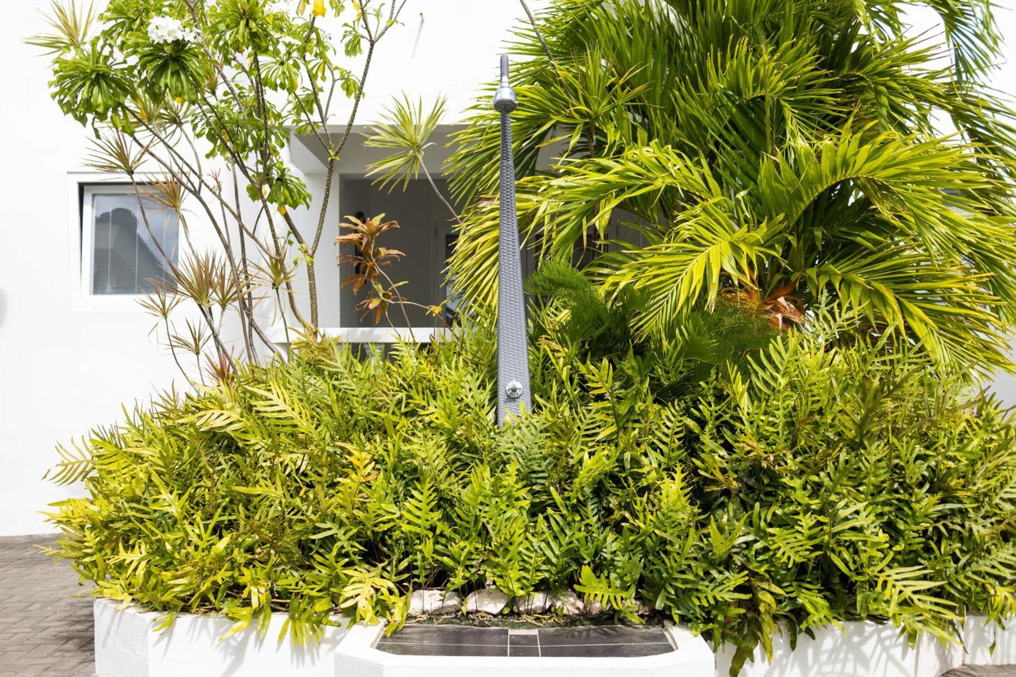 Ferienwohnung Palm Crest Jan Thiel Exterior foto